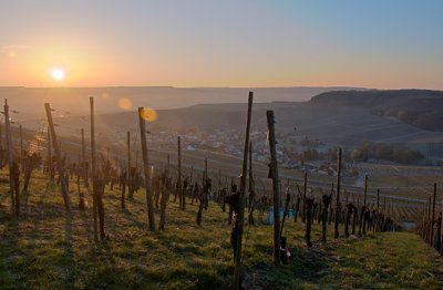 Lumière sur les vignes et la ville_5547926510_l.jpg